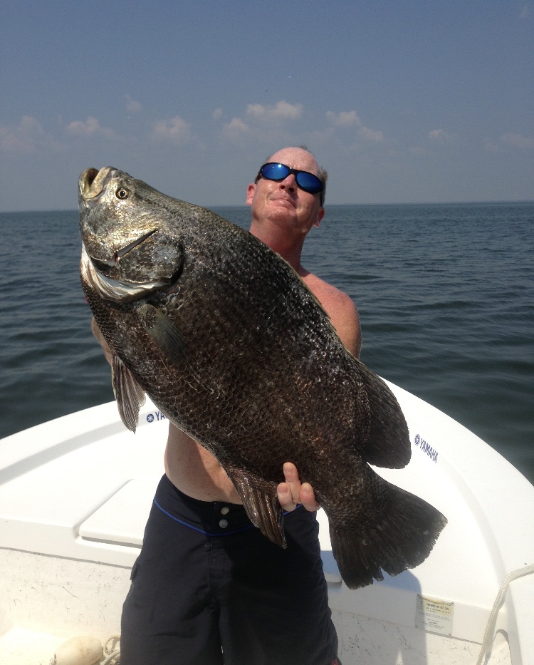 Foster inshore fishing charters